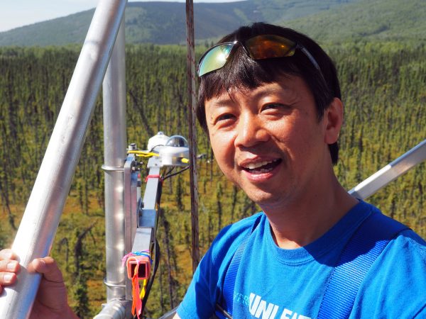 Photo by Heather McFarland. Hideki Kobayashi gathers information at Poker Flat Research Range to validate satellite data. Instruments from a 17-meter tower measure the carbon absorbed by the black spruce forest there.