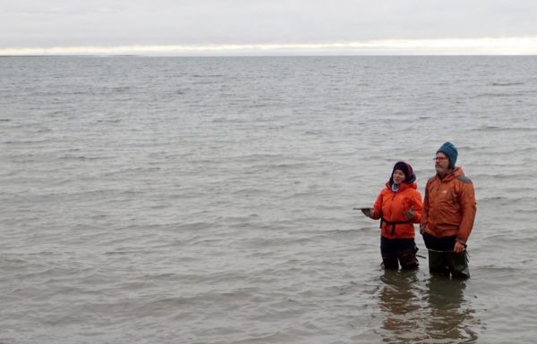 Photo by Pam Groves. UAF researchers Louise Farquharson and Dan Mann stand in Teshekpuk Lake to ponder an ancient beach rising from its northern shore.