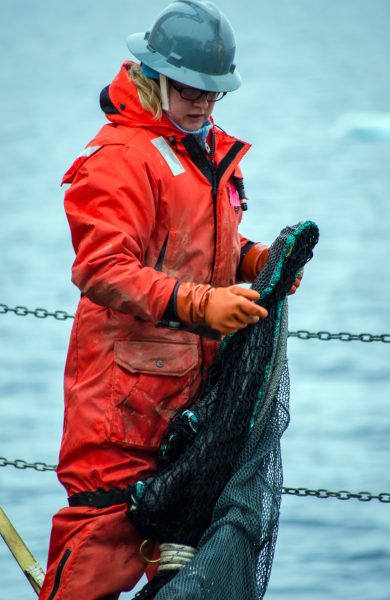 Photo courtesy of Kelly Walker. Kelly Walker sets up a bottom trawl net on the U.S. Coast Guard cutter Healy during the Chukchi Borderlands Ocean Exploration Cruise in 2016.