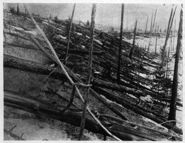 Photo from Leonid Kulik expedition, St. Petersburg Museum. This photo, taken in the Tunguska region of Russia in 1929, documented some of the millions of trees knocked down by what might have been a space object striking Earth.