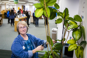 JoAnn Stagno, a longtime employee with Facilities Services, returned from retirement to help care for indoor plants across the Fairbanks campus. UAF photo by JR Ancheta.