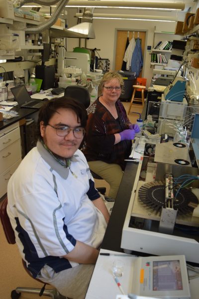 Maggie Castellini (right) works with Ilisagvik undergraduate Devon Kignak-Brower in the lab. Kignak-Brower visited UAF in May and early June 2018 for a summer research experience as part of Dr. Todd O’Hara’s BLaST faculty pilot project. Photo courtesy of BLaST.