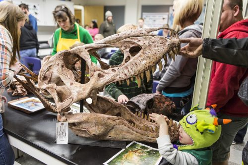 UAF photo by JR Ancheta. Participants inspect skulls during the 2014 Science Potpourri. This year's event will be held from noon to 3 p.m. April 13 at the Reichardt Building.