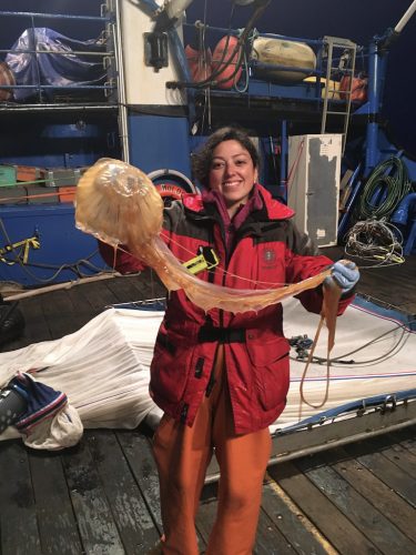 Photo by Loring Schaible. Heidi Mendoza-Islas holds a sea nettle caught during a research trip in the Gulf of Alaska.
