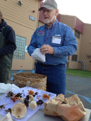 Photo by Julie Cascio. Gary Laursen examines mushrooms harvested during a workshop.