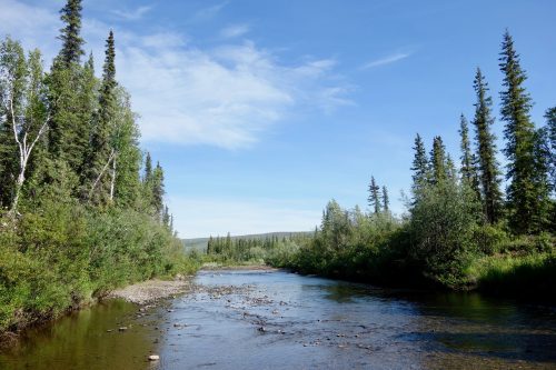 Photo by Ned Rozell. Prospect Creek in northern Alaska, shown here on a recent 80-degree summer day, has the record for Alaska’s coldest temperature of minus 80 degrees Fahrenheit, on Jan. 23, 1971.