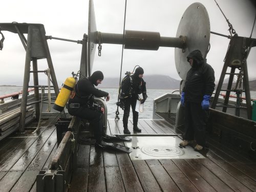 Photo courtesy of Aleutians East Borough. Charlotte Levy (center), with the Aleutians East Borough, and Allan Starnes (left), a Sand Point resident and commercial diver, conduct benthic site surveys off the fishing vessel Decision.