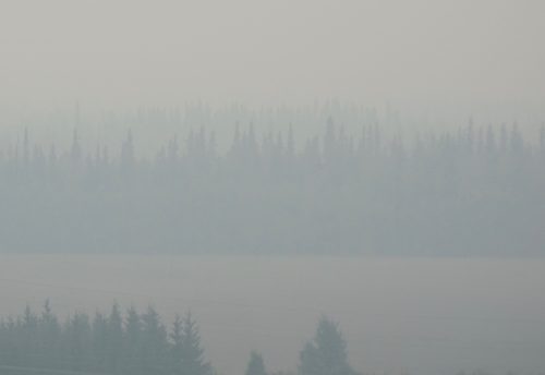 Ned Rozell photo. Fairbanks, shown here in July 2019, and other areas of Alaska are smokier, due to a recent increase in summer wildfires.