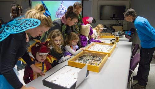 Photo courtesy of UAMN. Costumed visitors examine insect specimens during the 2018 Halloween at the Museum event.