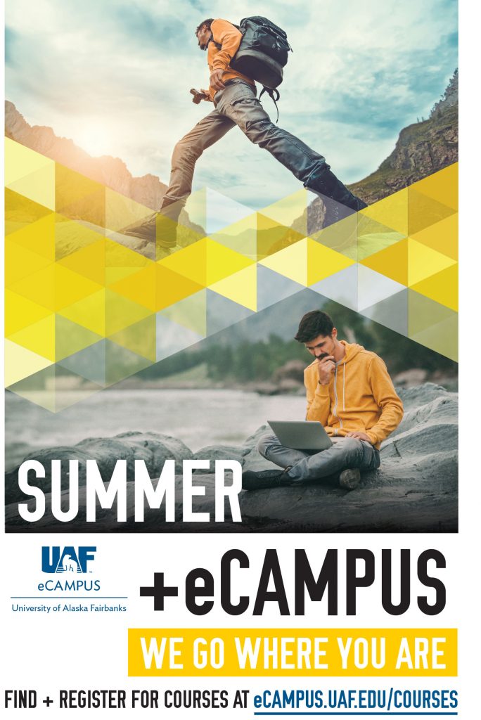 Summer + eCampus flier - we go where you are