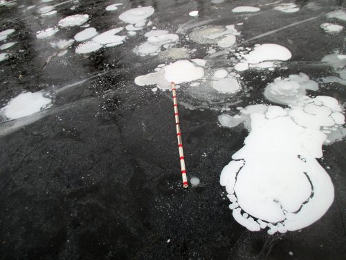 Photo by Melanie Engram. Methane ebullition bubbles form in early winter lake ice in Interior Alaska. A yard stick is included for scale.