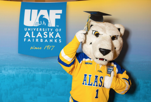 Nanook with a mortarboard in front of a large screen of the Fairbanks campus