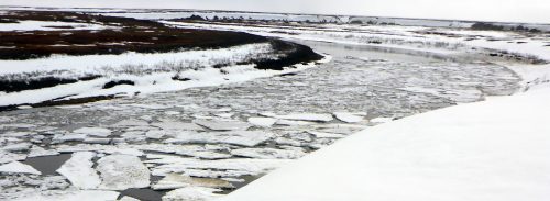 Photo by Chris Arp. Ice flows down the Ikpikpuk River. A University of Alaska Fairbanks project, Fresh Eyes on Ice, is helping gather important Alaska river breakup information.
