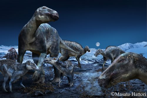 Copyright Masato Hattori. This artist’s rendering portrays a duck-billed, plant-eating dinosaur that was once common from Alaska to Colorado, even in polar areas that experienced long periods of darkness.