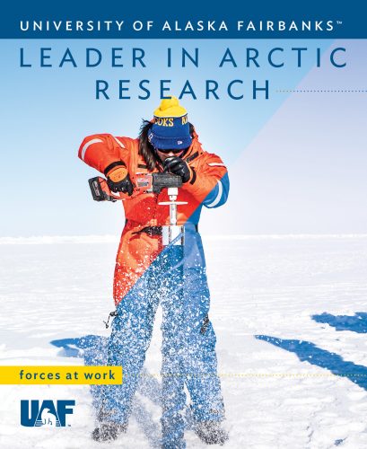 Cover of the 2020 Leader in Arctic Research report.
