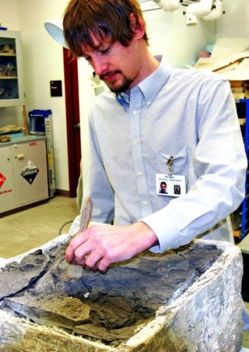 Theresa Bakker photo. Eric Metz examines a thalattosaur fossil at the University of Alaska Museum of the North. His work as a UAF graduate student played a key role in identifying it as a new species.
