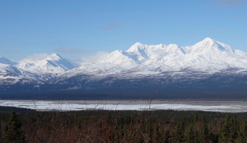 Photo by Ned Rozell. The Delta River flows northward, from left to right in this photograph, through Alaska Range peaks.