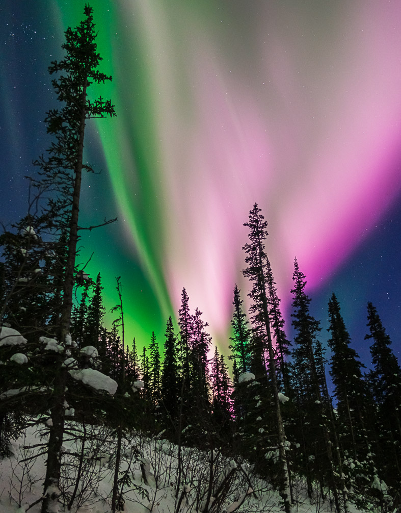 Photo by Aaron Lojewski. The aurora crosses the sky in 2019 near Poker Flat Research Range in Alaska. Recent discoveries made by researchers at the University of Alaska Fairbanks and the U.S. Geological Survey allowed researchers to record aurora using seismometers, the primary tool to monitor earth movement.
