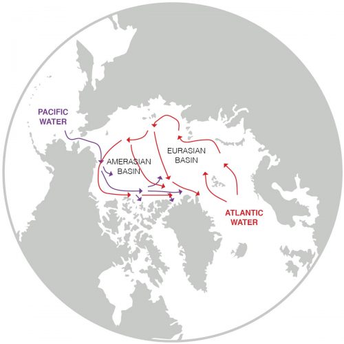 Graphic adapted from Frontiers in Marine Science paper. A map of the Arctic Ocean shows the location of the Amerasian and Eurasian basins. Arrows show the path of warm, fresh Pacific water and warm, salty Atlantic water into the region.