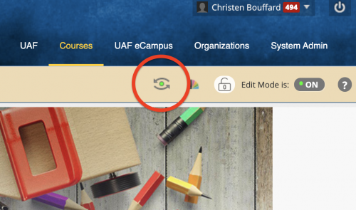 Student Preview button with a red circle around it