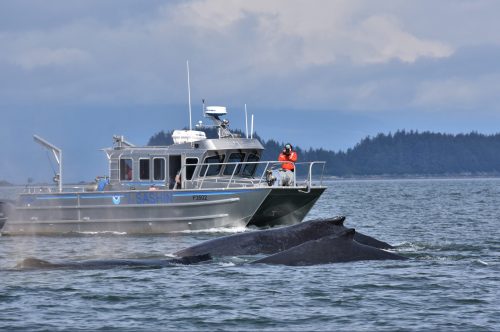Photo by Bruce Baker, NOAA Permit 20648. Scientists watch humpback whales near Juneau.