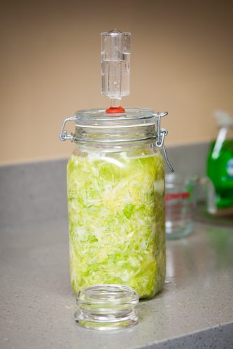 Photo by Edwin Remsberg. This sauerkraut is a type of naturally fermented cabbage. Leslie Shallcross will talk about fermented foods and demonstrate how to make kefir and kimchi as part of August Extension Week.