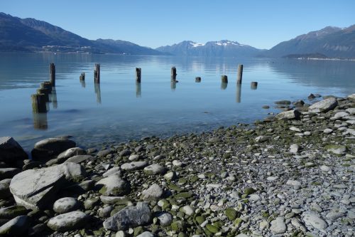 Photo by Ned Rozell. Broken wharf pilings remain visible at the former site of Valdez.