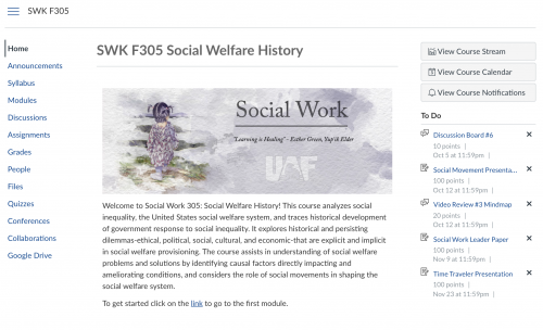 Screenshot of the online Social Welfare History course.
