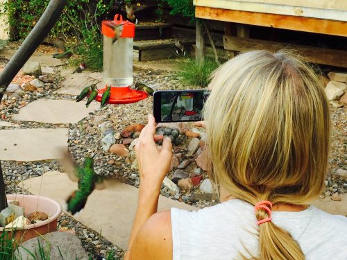 Photo by Scott Kiefer. Sherry Simpson photographs hummingbirds at her home in New Mexico a few years ago.