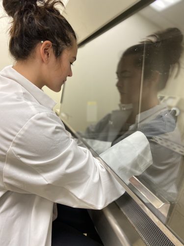 BLaST scholar Brianna Lu preparing antibiotics under a fume hood to administer to agar plates that housed C. elegans, in October 2019. Photo courtesy of the BLaST program.