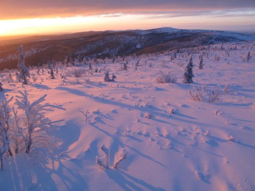 Photo by Ned Rozell. A December sun creates the longest shadows of the year in the hills above Fairbanks.