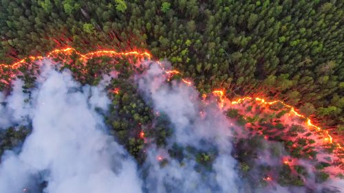 Photo by Julia Petrenko/Greenpeace. A wildfire burns in in the Krasnoyarsk region of Siberia during summer 2020. The fire is an example of the recent increase in wildfire activity in the Arctic.