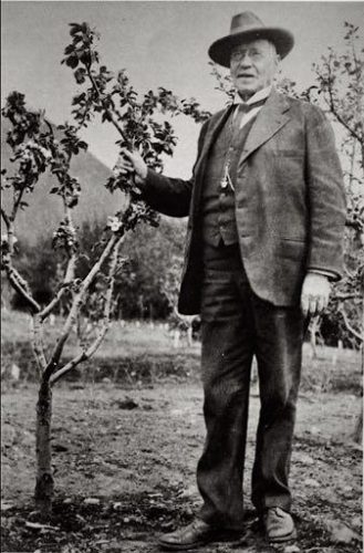  Photo by E.W. Merrill, public domain. Charles Georgeson stands next to an apple tree growing in Sitka.