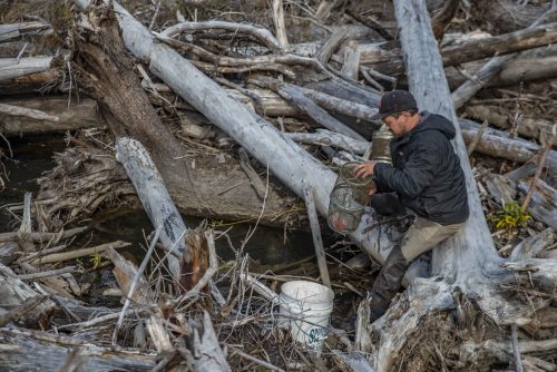 Photo by Seth Adams/Seth Adams Photography. UAF researcher Ben Meyer retrieves a fish trap at a Chena River logjam in September 2020.