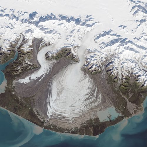 Courtesy NASA Goddard Space Flight Center. Malaspina Glacier, at right, spills out of the St. Elias Mountains in this September 2014 NASA Earth Observatory satellite image created by Jesse Allen using Landsat data from the U.S. Geological Survey.