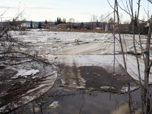 Photo by Heather McFarland. The Chena River breaks up in Fairbanks in 2020.