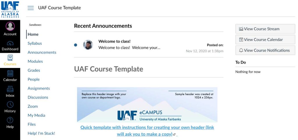 UAF Course Template in Canvas
