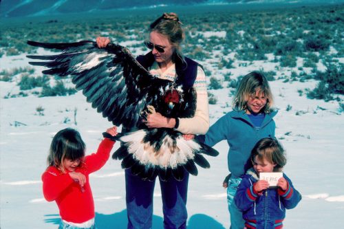 Photo by Tim Craig. Erica Craig holds a golden eagle during a research project in Idaho. Her three young daughters, the lower right being the author of this story, help display the eagle’s tail for aging purposes.