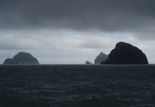 Photo by NOAA/Terry McTigue. A photo shows the Kenai Fjords in the Gulf of Alaska.