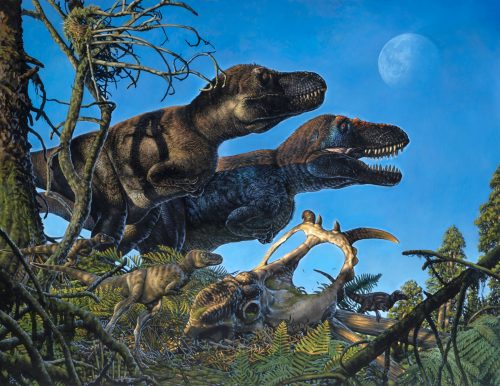 Art by James Havens. An illustration shows a pair of adult tyrannosaurs and their young living in the Arctic during the Cretaceous Period.