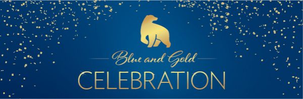 Blue and gold celebration graphic design