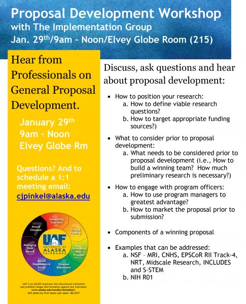 Proposal development workshop flyer