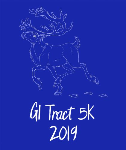 GI Tract 5k image of caribou running