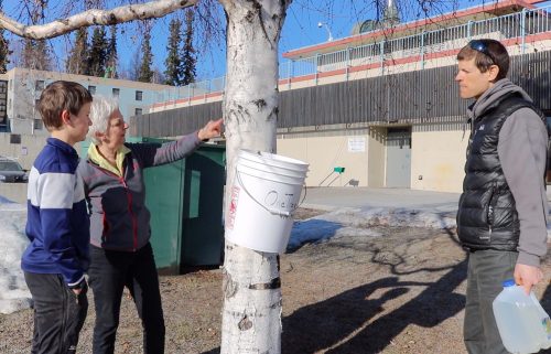 Jan Dawe (center) talks to Jonathan (left) and Aaron (right) Swank about birch sap outside the OneTree facility in the Lola Tilly Commons. Photo by Amanda Byrd.