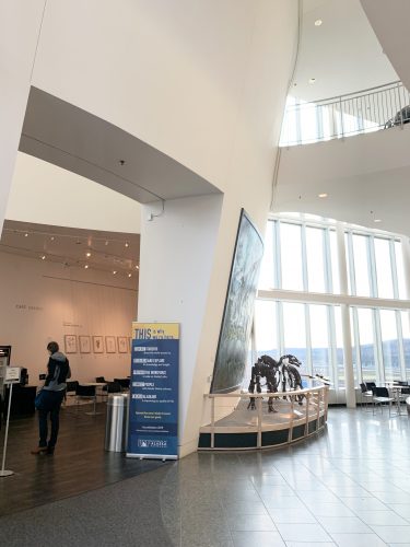 Part of the lobby in the UA Museum of the North. Photo courtesy of UAMN.