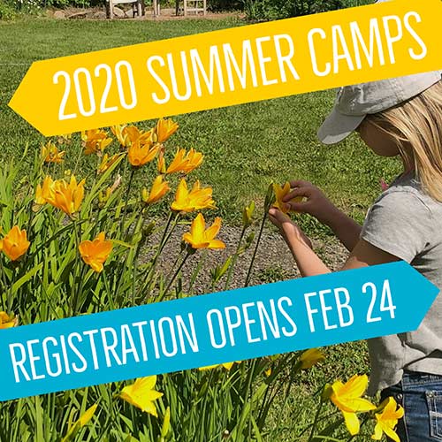 graphic image of girl looking at yellow flowers, with "2020 summer camps registration opens Feb 24" superimposed