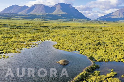 Photo of tundra with lake and beaver dam. Mountains are in the distance. Aurora is superimposed on the bottom.