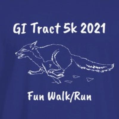 Graphic image from t-shirt of a running fox?