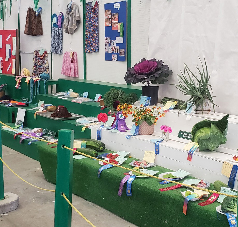 A variety of vegetable and craft items are laid out on tables with colored ribbons attached.