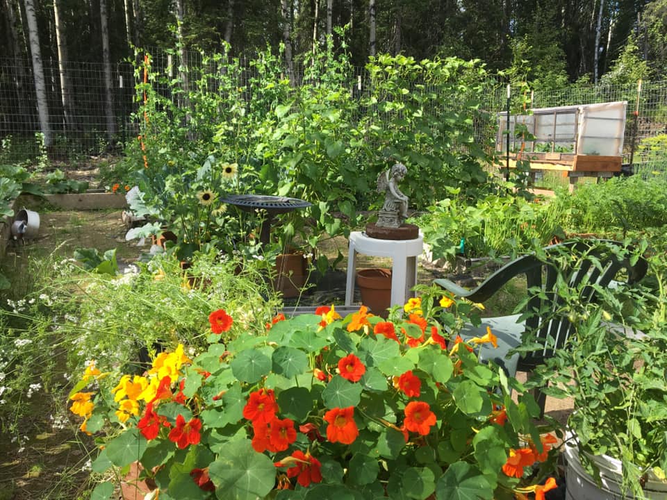 Flowers and green plants in a vegetable garden.